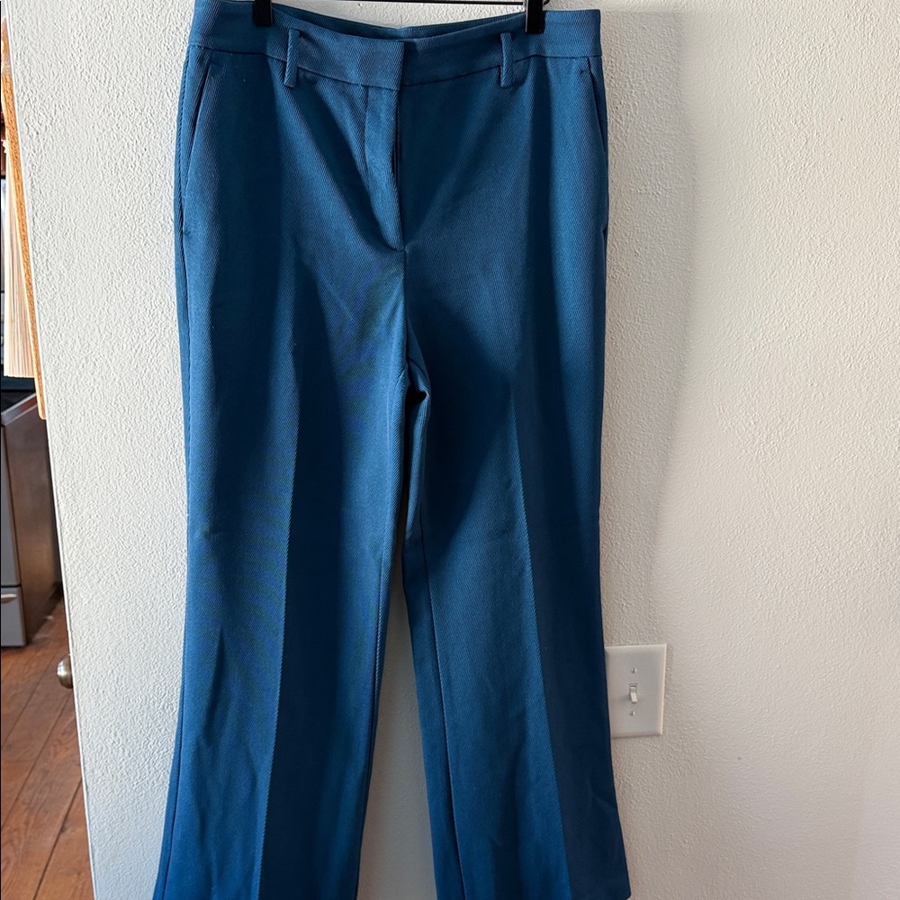 Ann Taylor Blue Women's Trousers
